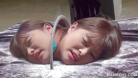 Shiruz fernok jazz elektran ab lorenzo & asia treasure usa pandora downtown mania